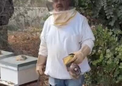 Bijenkasten bijenhouder Zuid-Libanon